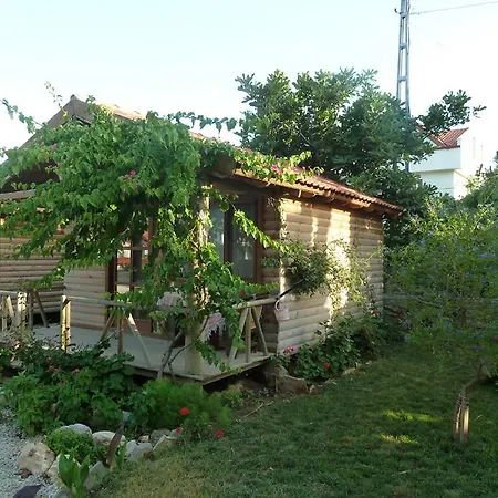 Sef Apart & Bungalow *