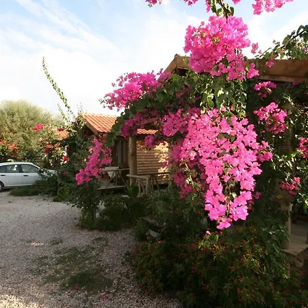 Apart Otel Sef Apart & Bungalow
