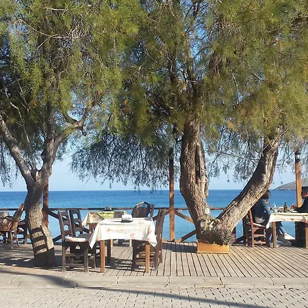 Apart Otel Sef Apart & Bungalow Palamutbükü