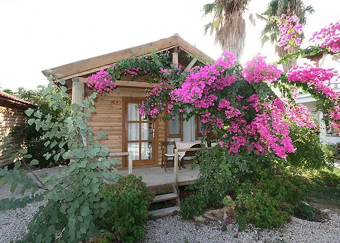 Hotel de apartamente Sef Apart & Bungalow Palamutbuku